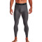 Pantaloni Under Armour HeatGear Carbon