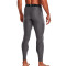 Pantaloni Under Armour HeatGear Carbon