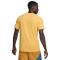 Maglietta Nike Dri-Fit Swoosh 2
