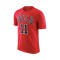 Maglietta Nike Chicago Bulls Essential Icon Edition Demar Derozan