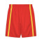 Pantaloncini Nike Selección de España Limited Road 2023