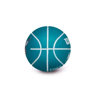 Pallone NBA Dribbler Charlotte Hornets