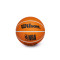 Pallone Wilson NBA Dribbler Phoenix Suns