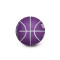 Pallone Wilson NBA Dribbler Sacramento Kings