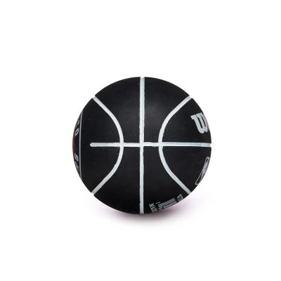Pallone NBA Dribbler Toronto Raptors
