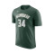Maglia Nike Milwaukee Bucks Essential Icon Edition Giannis Antetokounmpo