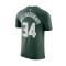 Maglia Nike Milwaukee Bucks Essential Icon Edition Giannis Antetokounmpo