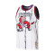 Maglietta Mitchell & Ness Swingman Jersey Toronto Raptors - Tracy McGrady 1998-99