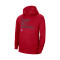 Felpa Nike Chicago Bulls Dri-Fit Spotlight