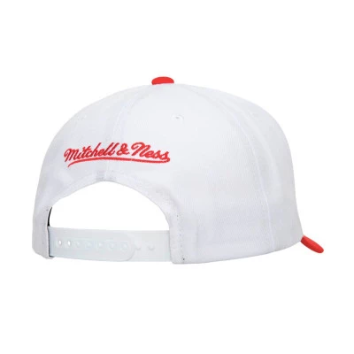 Cappello Team 2 Tone 2.0 Pro Snapback Sacramento Kings