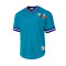 Maglia Mitchell & Ness Fashion Mesh V-Neck Charlotte Hornets