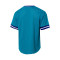 Maglia Mitchell & Ness Fashion Mesh V-Neck Charlotte Hornets