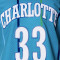 Maglietta Mitchell & Ness Swingman Jersey Charlotte Hornets - Alonzo Mourning 1992-93