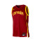 Maglia Nike Nazionale Spagna Limited Jersey Road 2024 da Donna