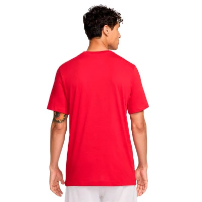 Maglietta Nazionale Spagna 2024