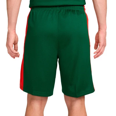 Pantaloncini Nazionale Lituania Limited Road 2024