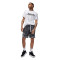Maglietta Jordan Sport Dri-Fit Graphic Crew