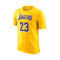 Maglia Nike Los Angeles Lakers Icon Edition Lebron James