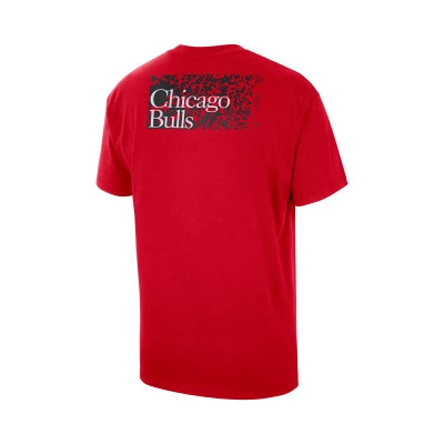 Maglietta Chicago Bulls Essential Max90