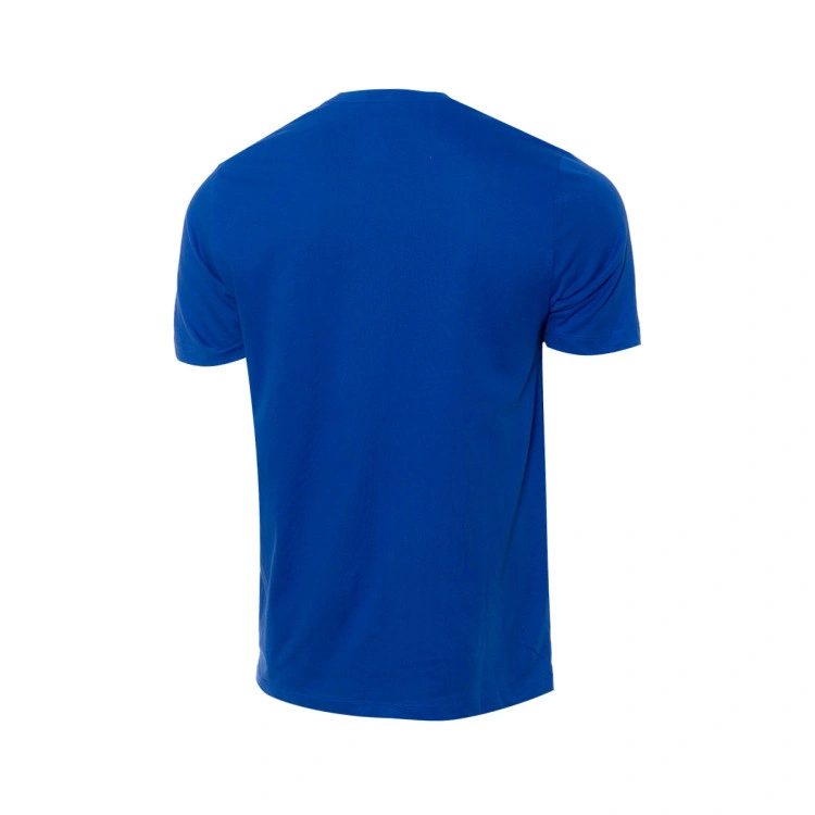 camiseta-jordan-seleccion-de-francia-fanswear-2024-old-royal-university-blue-6