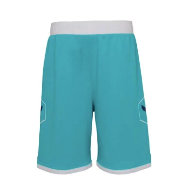 Pantaloncini Charlotte Hornets Icon Swingman Età prescolare