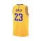 Maglia Nike Los Angeles Lakers Icon Edition Lebron James da Bambino