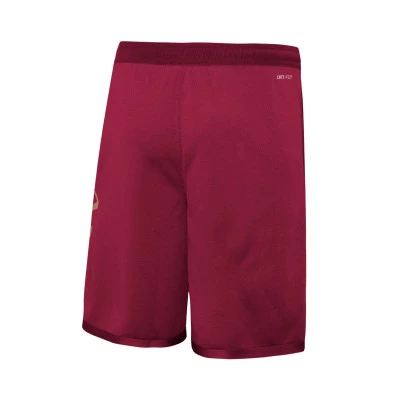 Pantaloncini Cleveland Cavaliers Icon Edition 2023-2024 da Bambino