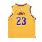 Maglia Nike Los Angeles Lakers Icon Edition Lebron James Bambino
