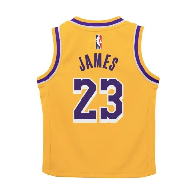 Maglia Los Angeles Lakers Icon Edition LeBron James Età prescolare