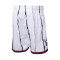 Pantaloncini Mitchell & Ness Swingman Toronto Raptors 1998