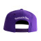 Cappello Mitchell & Ness Los Angeles Lakers Ground 2.0