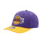 Cappello Mitchell & Ness Los Angeles Lakers Team 2 Tone 2.0 Strech Snap