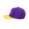 Cappello Mitchell & Ness Los Angeles Lakers Team 2 Tone 2.0 Strech Snap