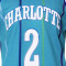 Maglietta Mitchell & Ness Swingman Jersey Charlotte Hornets - Larry Johnson 1992-93