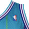 Maglietta Mitchell & Ness Swingman Jersey Charlotte Hornets - Larry Johnson 1992-93
