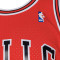 Maglietta Mitchell & Ness Swingman Jersey Chicago Bulls - Scottie Pippen Road 1997-98