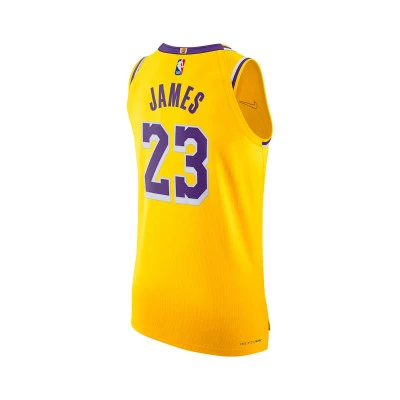 Maglia Los Angeles Lakers Icon Edition Authentic Lebron James