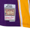 Maglietta Mitchell & Ness Swingman Jersey Los Angeles Lakers - Ron Artest 2009-10