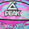Pallone Peak Camo Sz6 da Donna