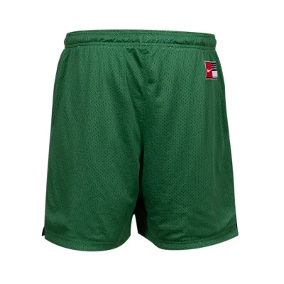 Pantaloncini Boston Celtics Mesh Practice Courtside Reversibili