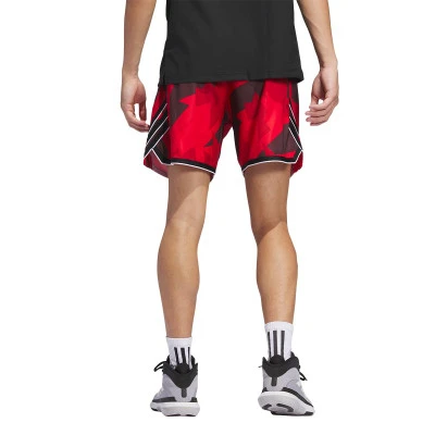 Pantaloncini Crazylite Aop 2