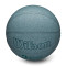 Pallone Wilson NBA DRV Pro