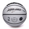 Pallone Wilson NBA Player Icon UV Lebron James
