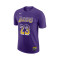 Maglietta Nike Los Angeles Lakers Lebron James Select Series 2025-2026
