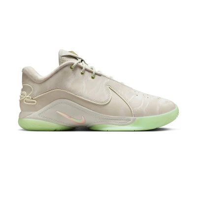Scarpe Lebron 22 Dunkman