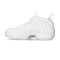 Scarpe Nike Air Foamposite One