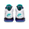 Scarpe Jordan Air Jordan 5 Vintage Grape