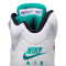 Scarpe Jordan Air Jordan 5 Vintage Grape