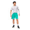 Pantaloncini Jordan Sport Diamond