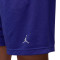Pantaloncini Jordan Sport